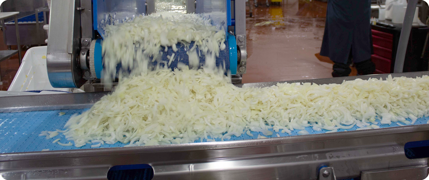 Fresh cut produce moving along a conveyor line at a WPS Fresh facility, representing wholesale and key program operations.