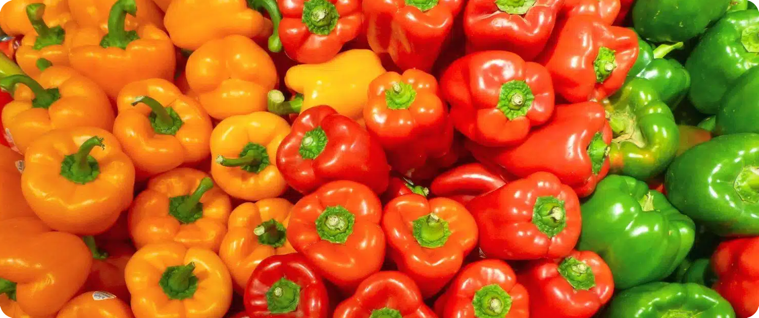 WPS Fresh SPLITS Program | Efficient Distribution | Fresh Produce Packing Red, orange, and green bell peppers prepared for packing and distribution through WPS Fresh’s SPLITS program.